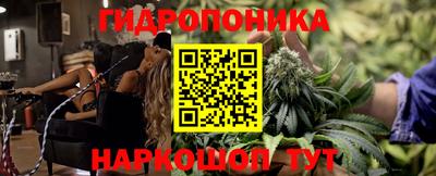 СК Канаш