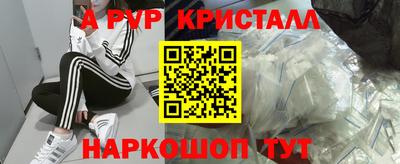 прущие грибы Камышлов