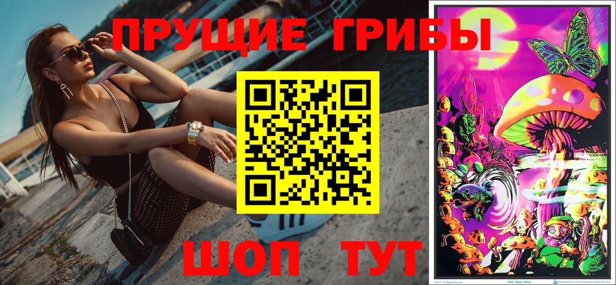 цена   Псилоцибиновые грибы Magic Shrooms  Вход с VPN  Краснодар 