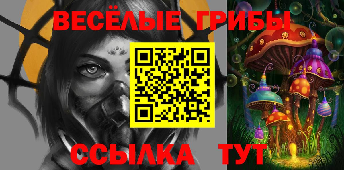 Галлюциногенные грибы Psilocybe Краснодар